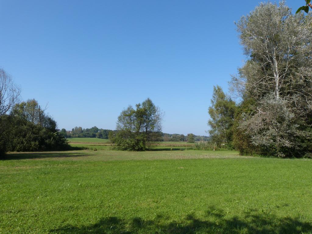 Chiemsee Comfort-Bungalow Mit Garten Rimsting Exteriör bild